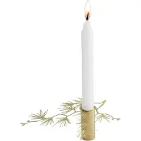 Pluto Design Tall kandelaar klein Goud