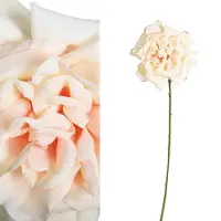 Ptmd collection PTMD Open Roos Kunstbloem - 16 x 16 x 66 - Crème