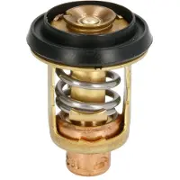 Sierra Johnson/evinrude Thermostat Goud