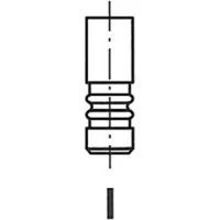 FRECCIA R6253/BMCR Uitlaatklep