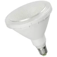 EDM Par38 E27 6400k 15w 1200 Lumens Led-lamp