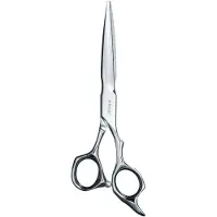 E-Kwip + Future 55 Knipschaar