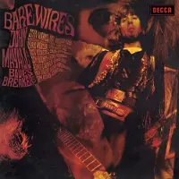 Import BARE WIRES