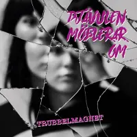 Ginza.se Djavulen Moblerar Om - Trubbelmagnet (LP)