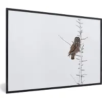 PosterMonkey Fotolijst - Poster dieren - Uil - Winter - Roofvogel - Boom - Foto in lijst - Frame - 120x80 cm