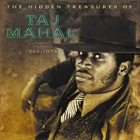 MUSIC ON VINYL The Hidden Treasures Of Taj Mahal 1969-1973 LP Blauw Transparant Marbré
