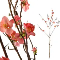 Ptmd kunstbloem blossom - 87x65x120cm