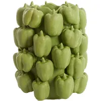 Light & Living vaas deco 23,5x23x32,5 cm bellpepper keramiek mat