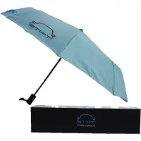 Kippers Rijssen storm umbrella