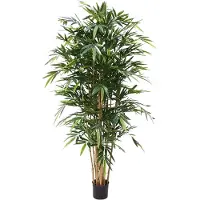 Maxifleur Bamboe Deluxe 180 cm FR
