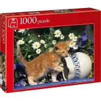 Jumbo Curious Kitten