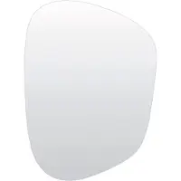 Light & Living spiegel 45x1,5x61 cm algeza glas