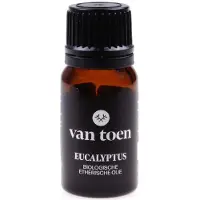 Van Toen Remedies Eucalyptus bio 10 ml