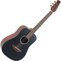 Applause Akoestische Gitaar Wood Classics Aat96-4S Travel Mat