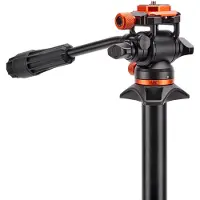 3 Legged Thing Airhed Trinity Zwart/Oranje
