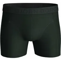 Björn Borg Heren boxershort 2p essential