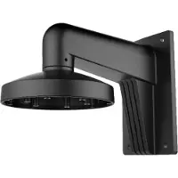 Hikvision DS-1473ZJ-155(Black) Wall mount