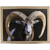 Mars & More Schootkussen/laptray ram/schaap print 33 x 43 cm - Dienbladen