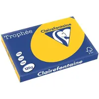 Clairefontaine TROPH ZONNEBLMGL A3 120GR 250V