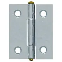Axa Smal scharnier gegalvaniseerd 40 x 32mm 1100-01-52/0W