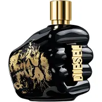 Diesel Herengeuren Spirit Of The Brave Eau de Toilette Spray 125 ml
