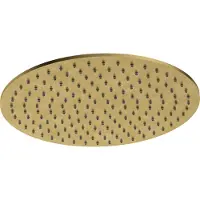 Hotbath Archie AR106 hoofddouche 30cm rond geborsteld messing PVD