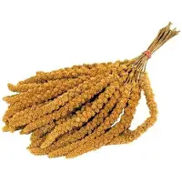 De Vries trosgierst 1 kg