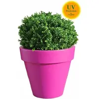 LeopoldFlora UV-Kunst-Buxus-Bol-60-cm