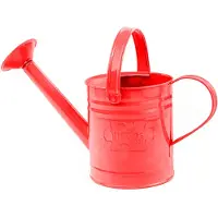 Bigjigs Red Watering Can