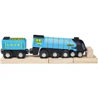 Bigjigs Mallard