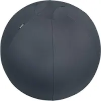 Leitz Ergo Cosy Actieve Ergonomische Zit/Sta Kruk - Ideaal voor Thuiskantoor - Fluweel Grijs