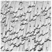 Konkurrent RP Boo - Fingers, Bank Pads & Shoe Prints (CD)