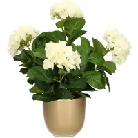 Mica Decorations Hortensia kunstplant/kunstbloemen 45 cm - wit - in pot goud glans - Kunstplanten