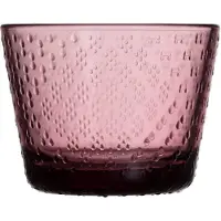 Iittala Tundra drinkglas 16 cl 2-pack Heide