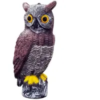 EDM De Uil Jaagt De Vogels Weg 19x40 Cm
