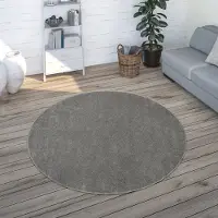 Paco Home Vloerkleed Woonkamer Effen Eenvoudig En Modern Laagpolig, Versch. Afmetingen Kleuren 160 cm Rund