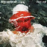 Konkurrent Pale Jay - Bewilderment (LP) (Coloured Vinyl)