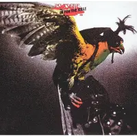 Budgie - In For The Kill (LP)