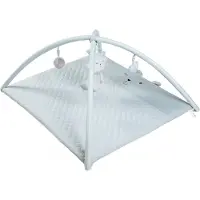 Roba Babygym Benny Turquoise | Maat: Newborn (0 - 6 maanden)