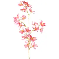 Driesprong Collection - Renanthera m. 25 polyester bloemen roze ku...