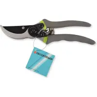 Discountershop Groen & Grijs Snoeischaar | 21cm x 5.5 cm | Stevige Tuingereedschap voor Jonge Takken en Twijgen | Ergonomische Handgrepen | Speciale Coating voor Grip en Duurzaamheid | Perfect Voor Heggen en Bloemen