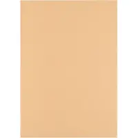 Florence Cardstock Linnenkarton - Parchment (Beige) - Gekleurd Papier - A4 - 100 vellen - Textuur - 250 g