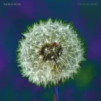 Konkurrent Bevis Frond - Focus On Nature (2 LP)