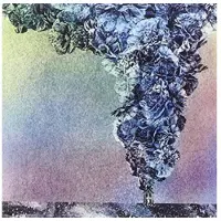 Konkurrent Daughn Gibson - Carnation (CD)