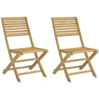 vidaXL Tuinstoelen 2 st inklapbaar 48,5x61,5x87 cm massief acaciahout