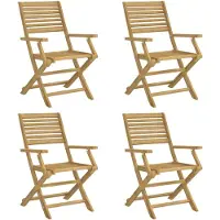 vidaXL Tuinstoelen 4 st inklapbaar 54,5x61,5x86,5 cm acaciahout
