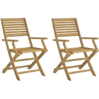 vidaXL Klapstoelen, 2 stuks, 54,5 x 61,5 x 86,5 cm, massief acaciahout