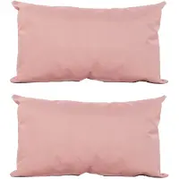 Anna's Collection Sierkussen voor binnen en buiten - 2x - oud roze - 30 x 50 cm - tuinkussen - Sierkussens