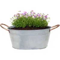 Merkloos Mega Collections Teil/plantenpot Jean - ovaal - zink - zilver - L27 x D18 X H12 cm - IJzeren emmer / teil