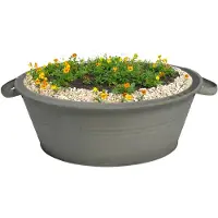 Merkloos Plantenteil Zink D 30 H 14 Cm